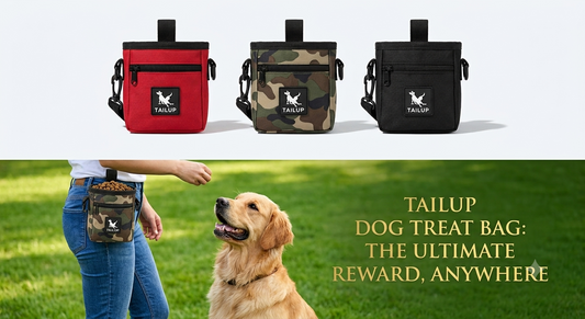 Training Treat Pouch — Reward Every Good Moment